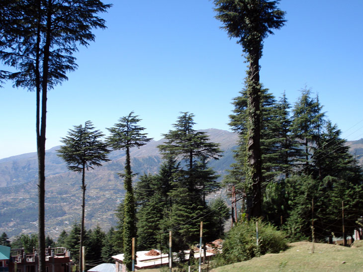 Kashmir